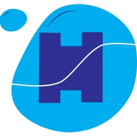 Logo Công Ty TNHH MTV Vải Sợi Hải Sao