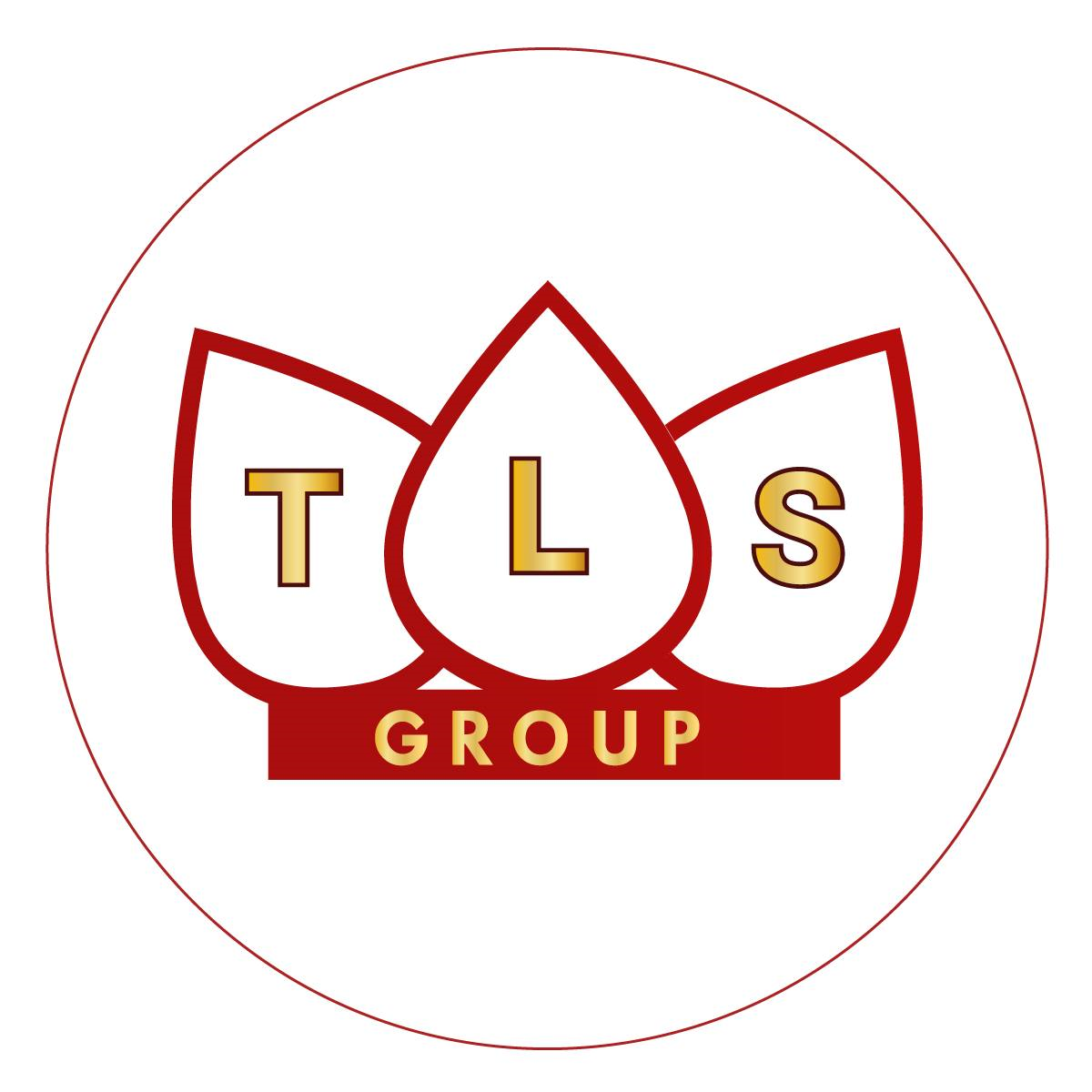 Logo Công ty Cổ phần Tập đoàn TLS