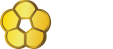 Logo Công ty Cổ phần Next Vision Capital Việt Nam