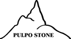 Logo Công ty Cổ phần Pulpo Việt Nam