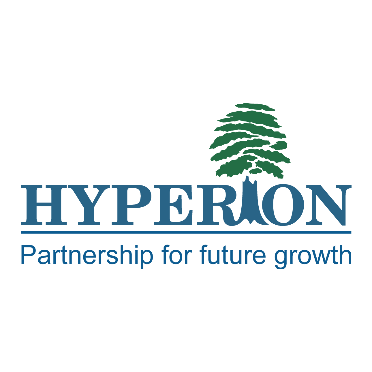 Logo Công ty TNHH Hyperion