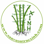 Logo Công Ty Cổ Phần Ngũ Sắc