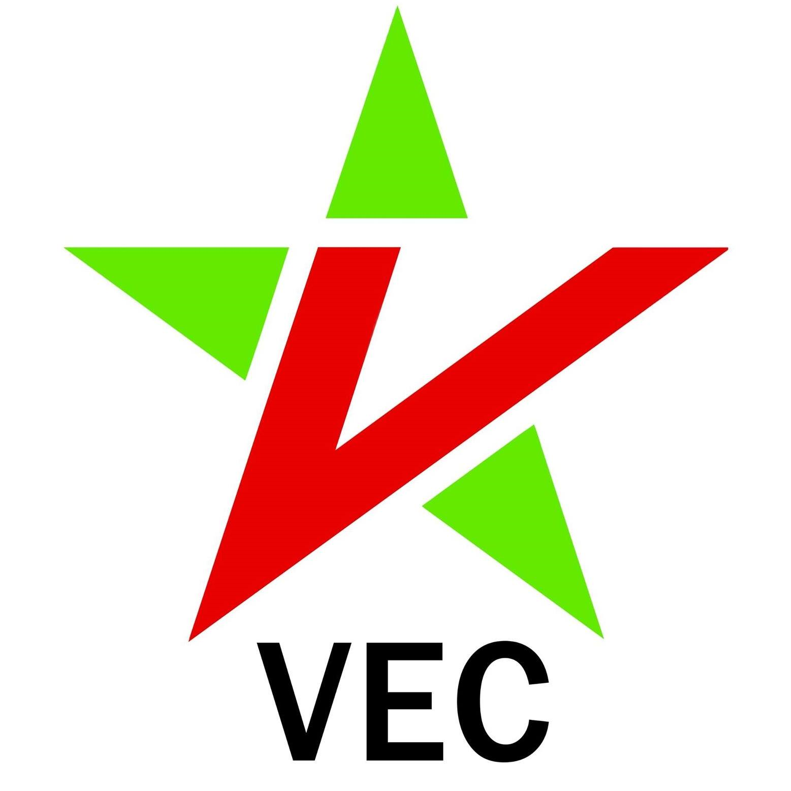 Logo Công ty TNHH MTV VEC