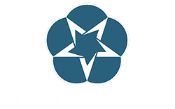 Logo Công ty Cổ phần Tập đoàn Vietshine