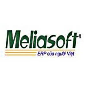 Logo Công ty Cổ phần Phần mềm Meliasoft