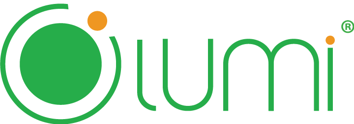 Logo Công ty Cổ phần Lumi Việt Nam