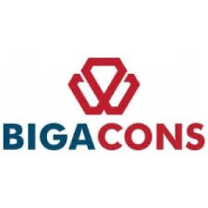 Logo Công ty Cổ phần Đầu tư và Xây dựng BIGA Việt Nam