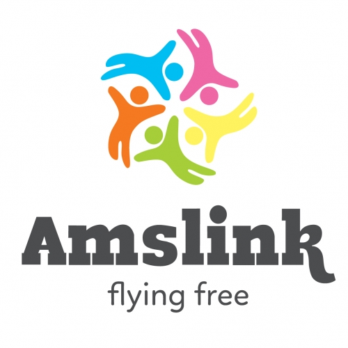Logo Công Ty Cổ Phần Đầu Tư Tương Lai Mỹ Anh (Amslink)