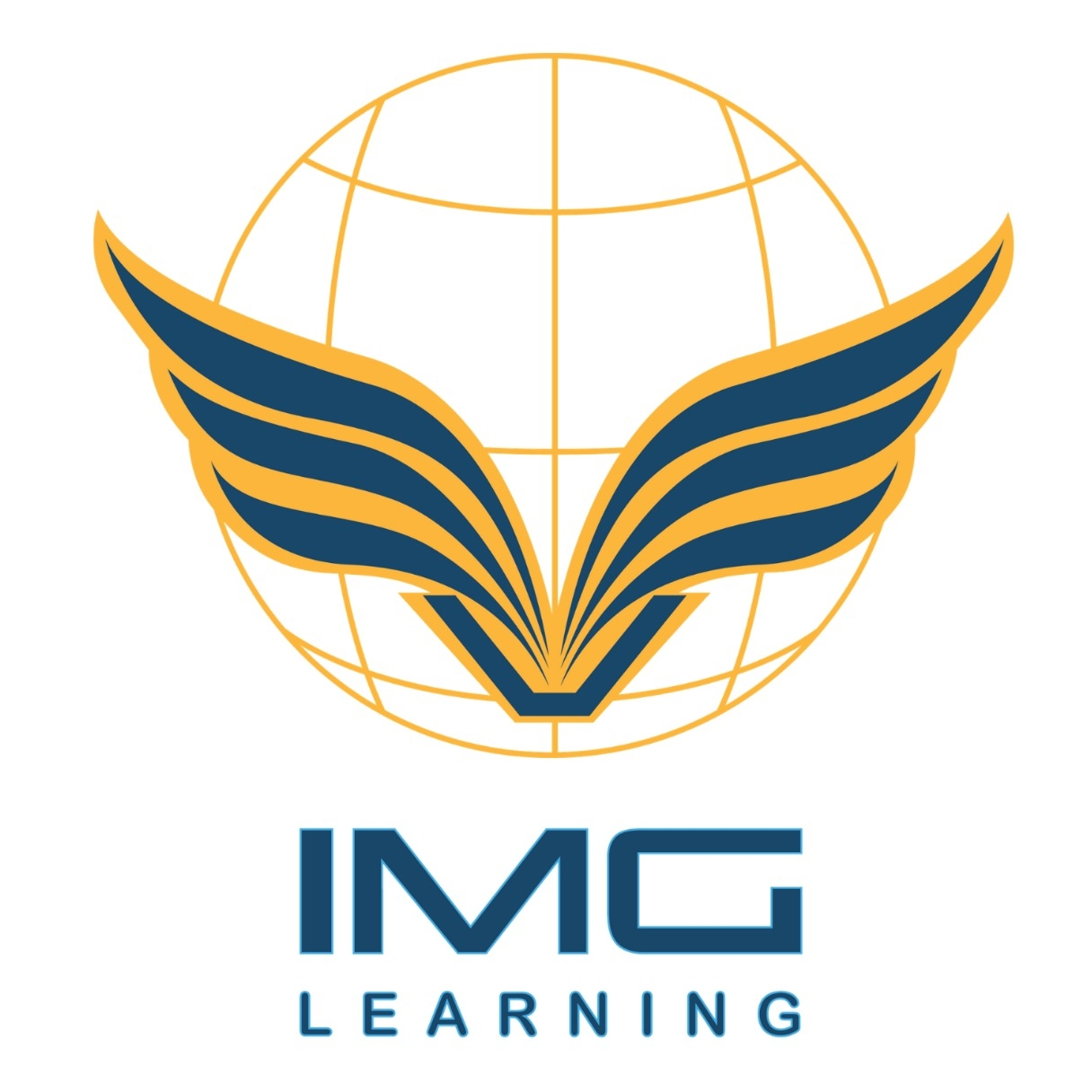 Logo Công ty Cổ phần Giáo dục IMG Việt Nam