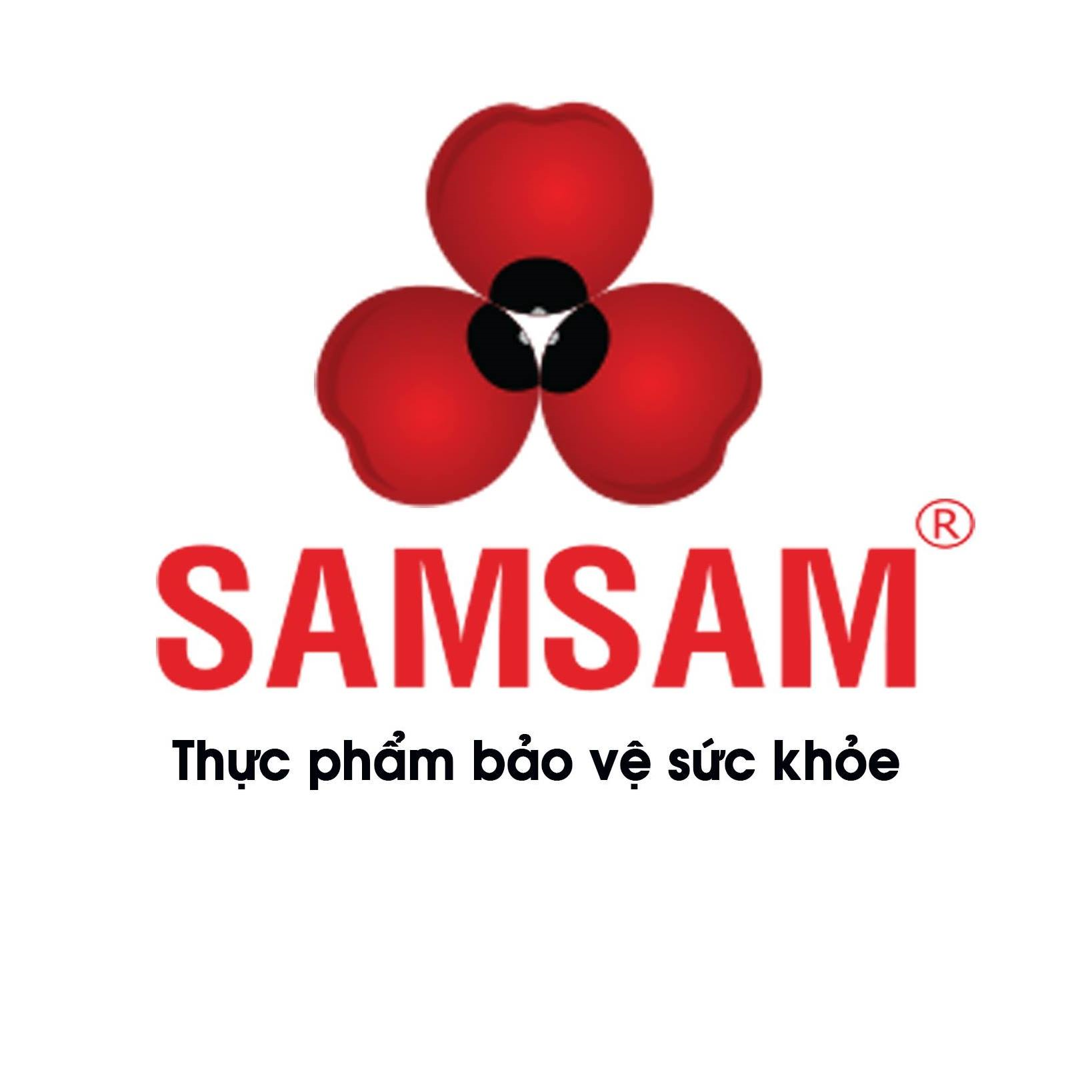 Logo Công ty TNHH Sâm Sâm