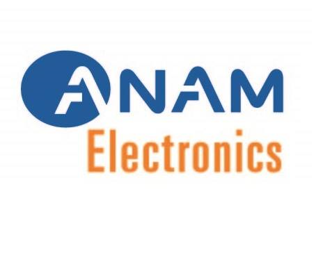 Logo Công ty TNHH Anam Electronics Việt Nam