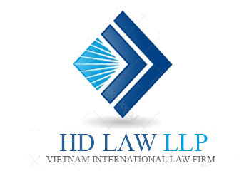 Logo Công ty TNHH HD Luật