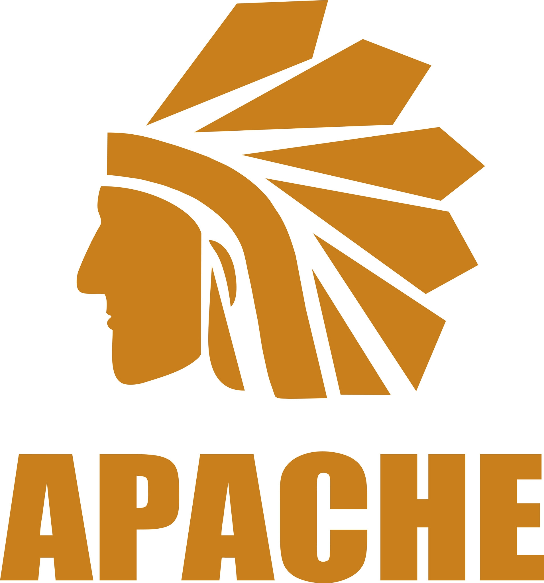 Logo Công ty TNHH Giày Apache Việt Nam