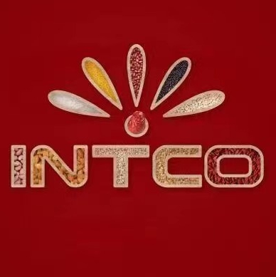 Logo Công ty TNHH Công Nghiệp INTCO Việt Nam